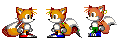 Joey Kitts, from Tails to Edited Tails